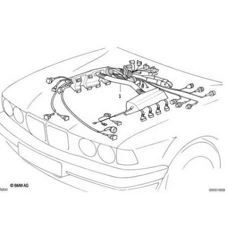 Faisceau pour moteur DDE+EGS